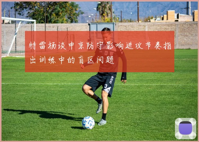特雷杨谈申京防守影响进攻节奏指出训练中的盲区问题