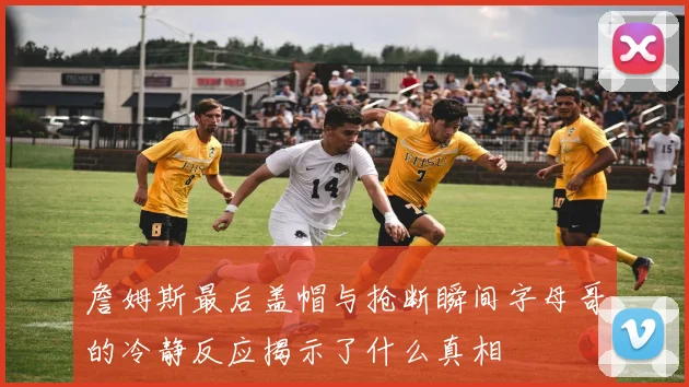 詹姆斯最后盖帽与抢断瞬间字母哥的冷静反应揭示了什么真相